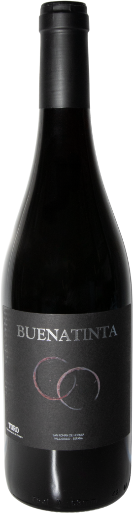 2023 Buenatinta Toro DO