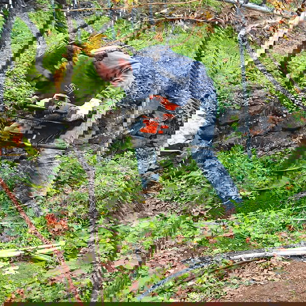 Alejandro Rodríguez