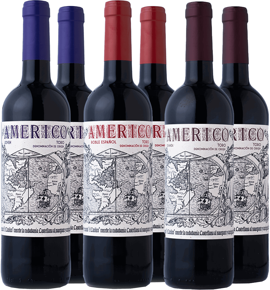 Pack degustacón Diez Gómez Tintos Toro DO