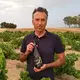 Almavid Bodega López Campos