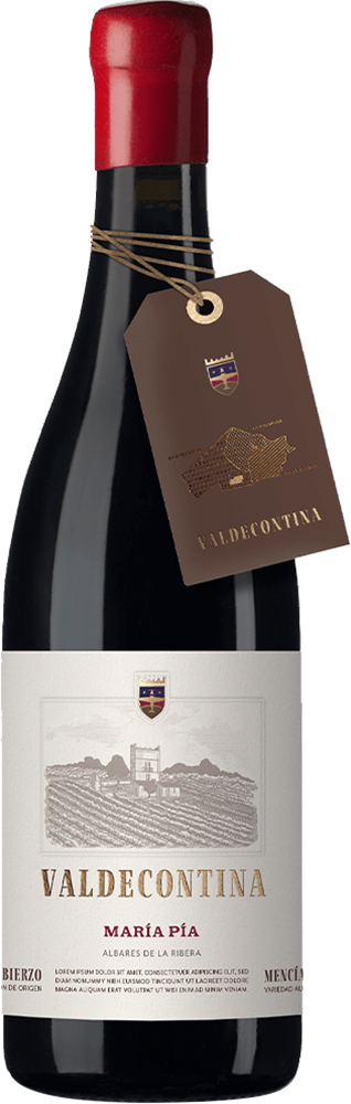 2022 María Pía Bierzo DO