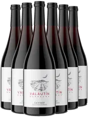 ¡Descubre los vinos aclamados por la crítica!