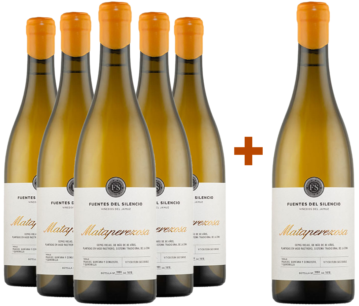 Pack Descuento 5+1 Fuentes del Silencio Mataperezosa Blanco Castilla y León VT