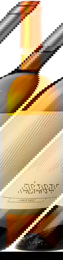 2023 Tágara Blanco Ycode Daute Isora DO