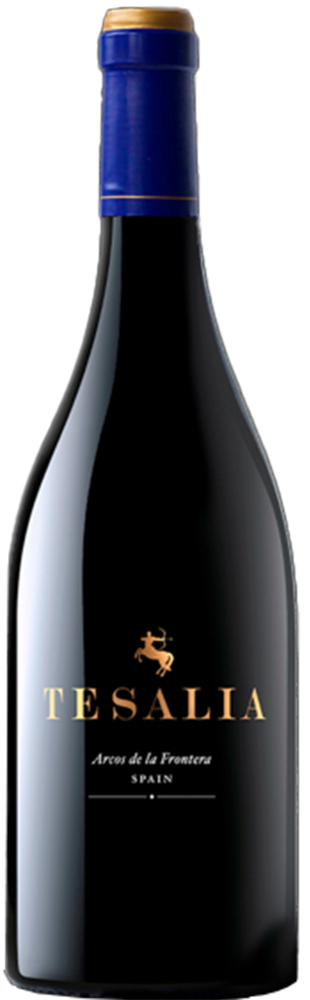 2020 Tesalia Cádiz VT