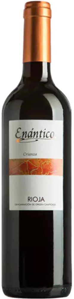 2020 Enántico Crianza Rioja DOCa reflection