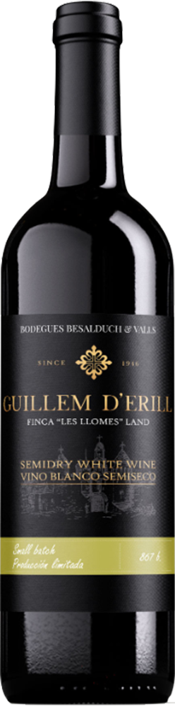 2024 Guillem d' Erill Castellón VT