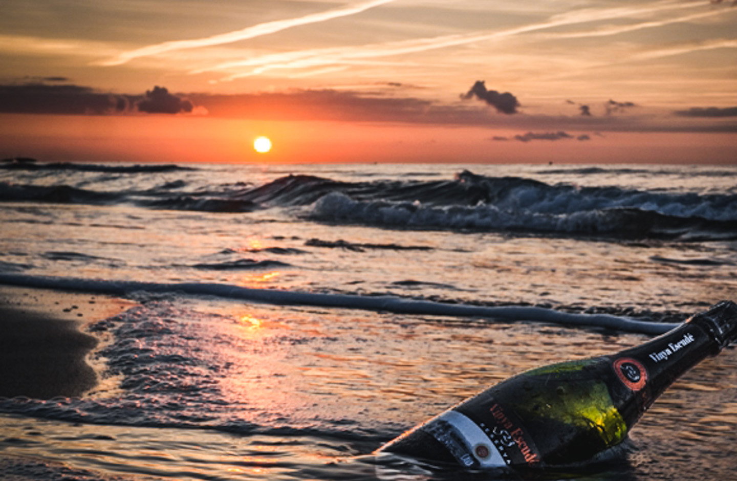 Vinya Escudé - Celler Jordi Lluch
