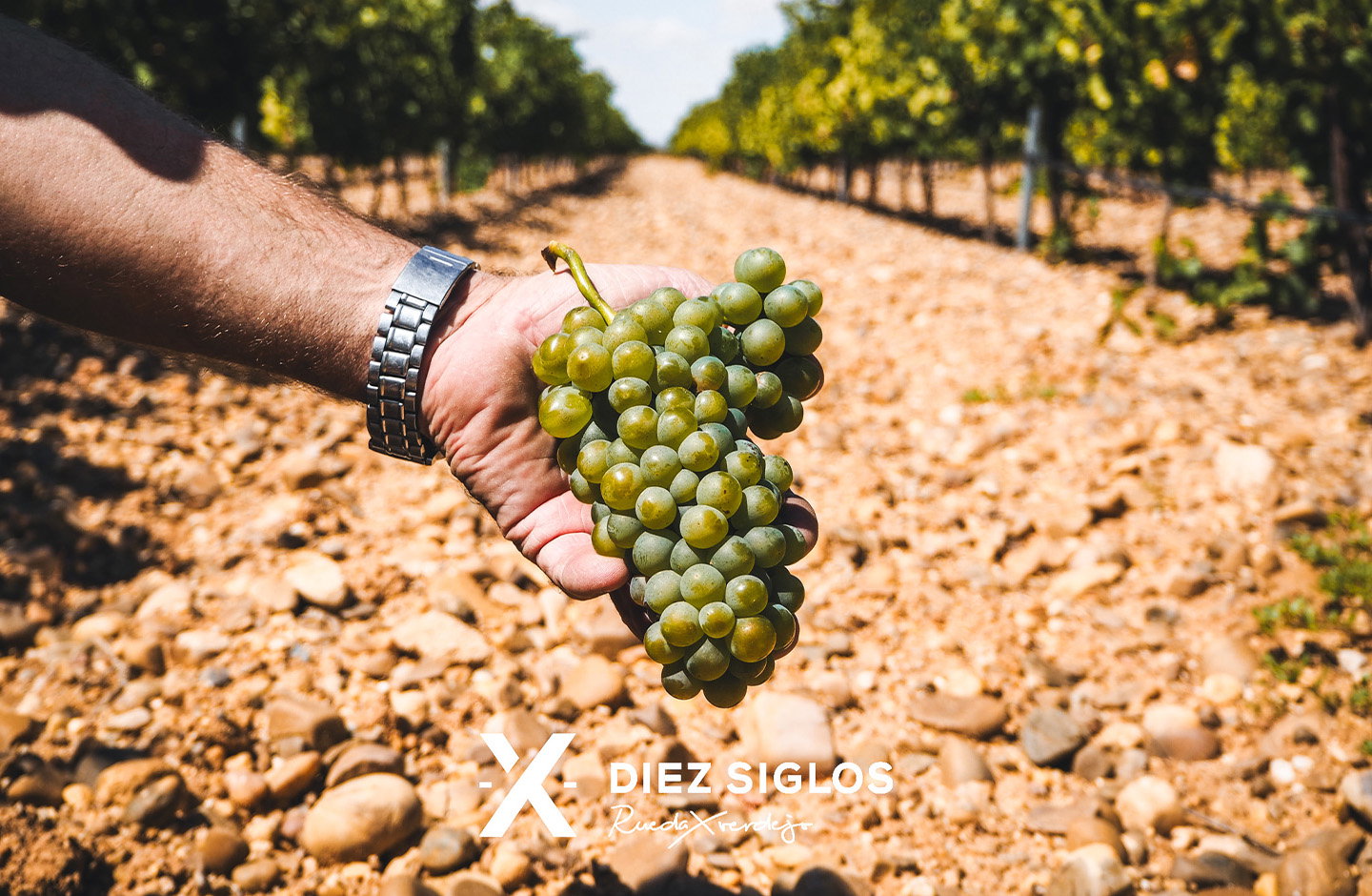 Diez Siglos de Verdejo