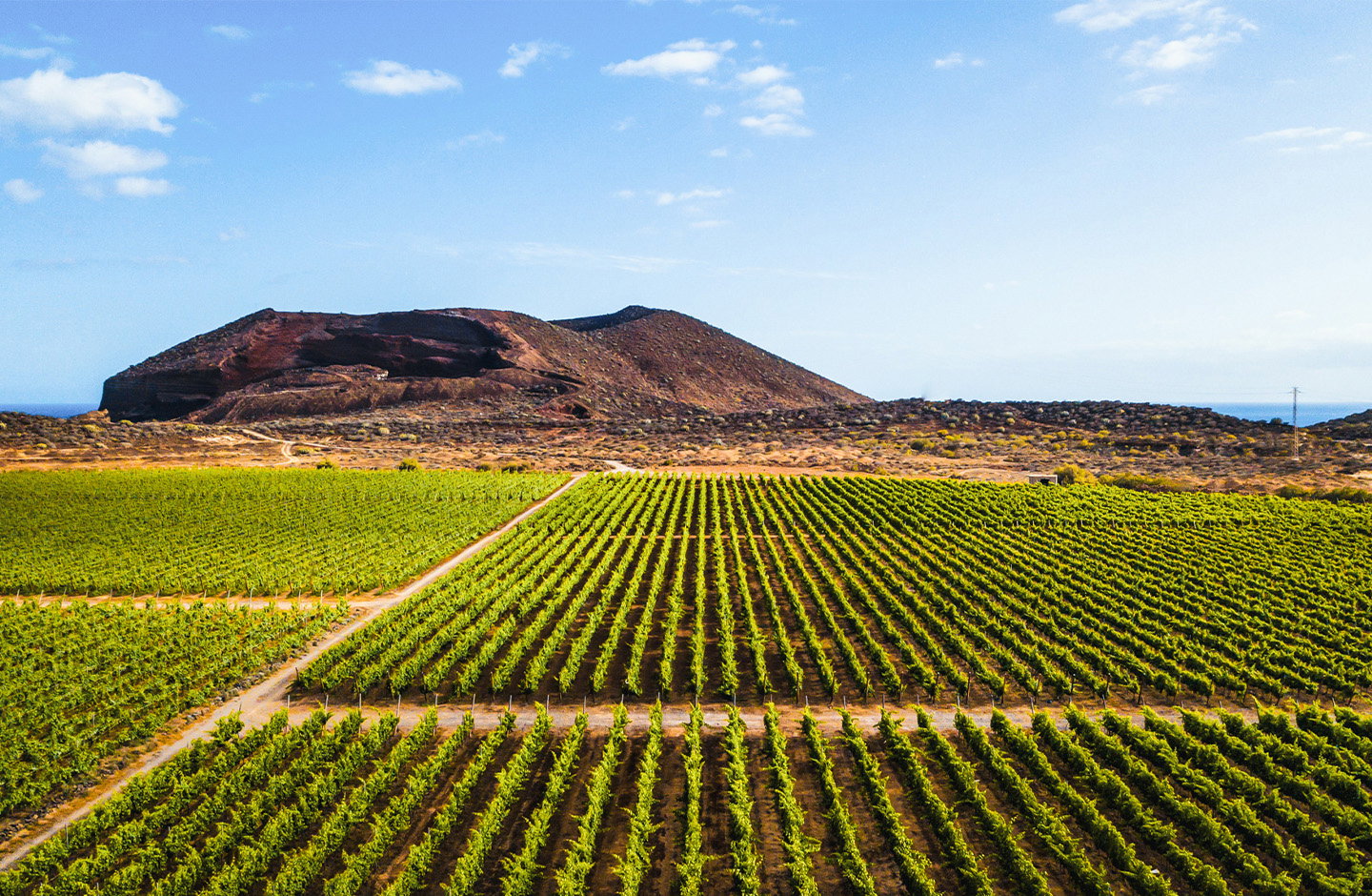 ¡Las ofertas favoritas de nuestros clientes!