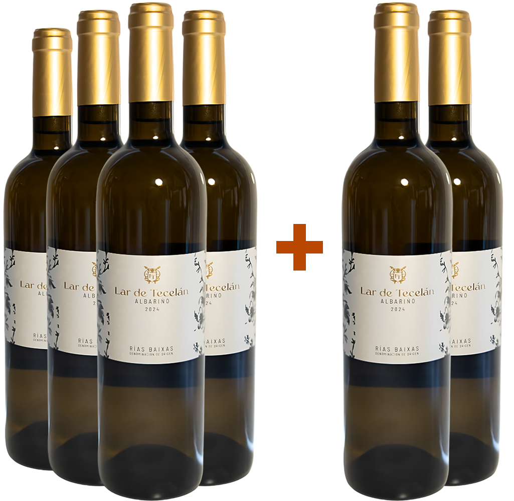 Pack descuento 4+2 Lar de Tecelán Rias Baixas DO