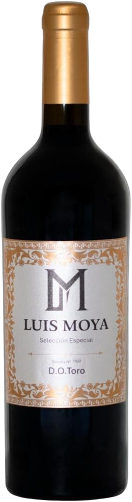 2022 Luis Moya Toro DO