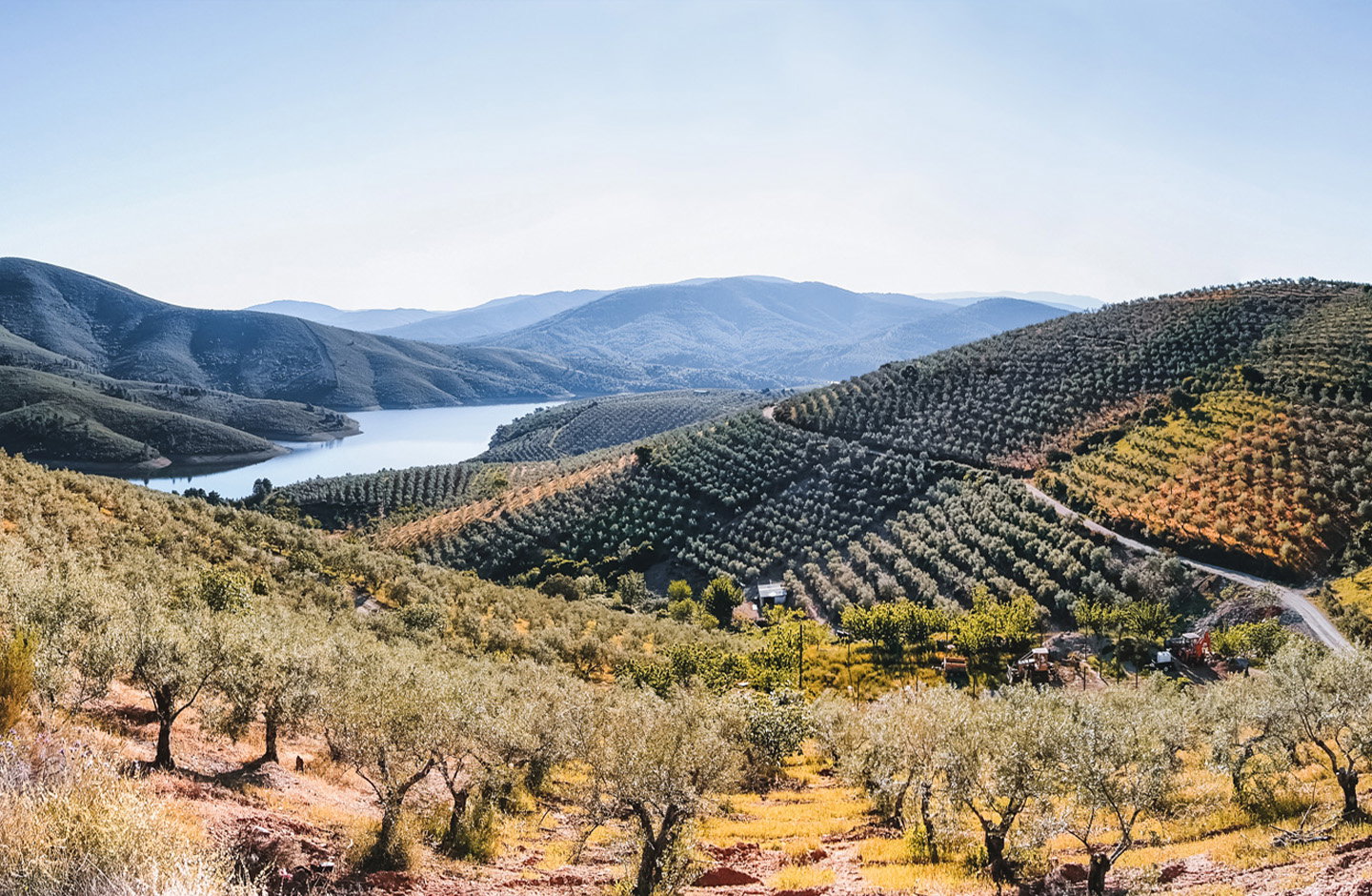 El Hato y El Garabato