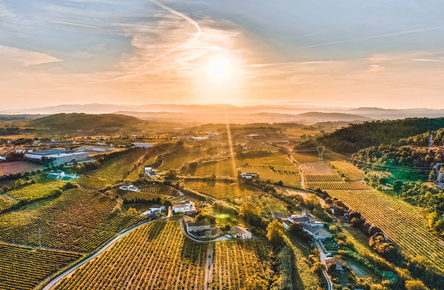 Denominaciones de Origen de España