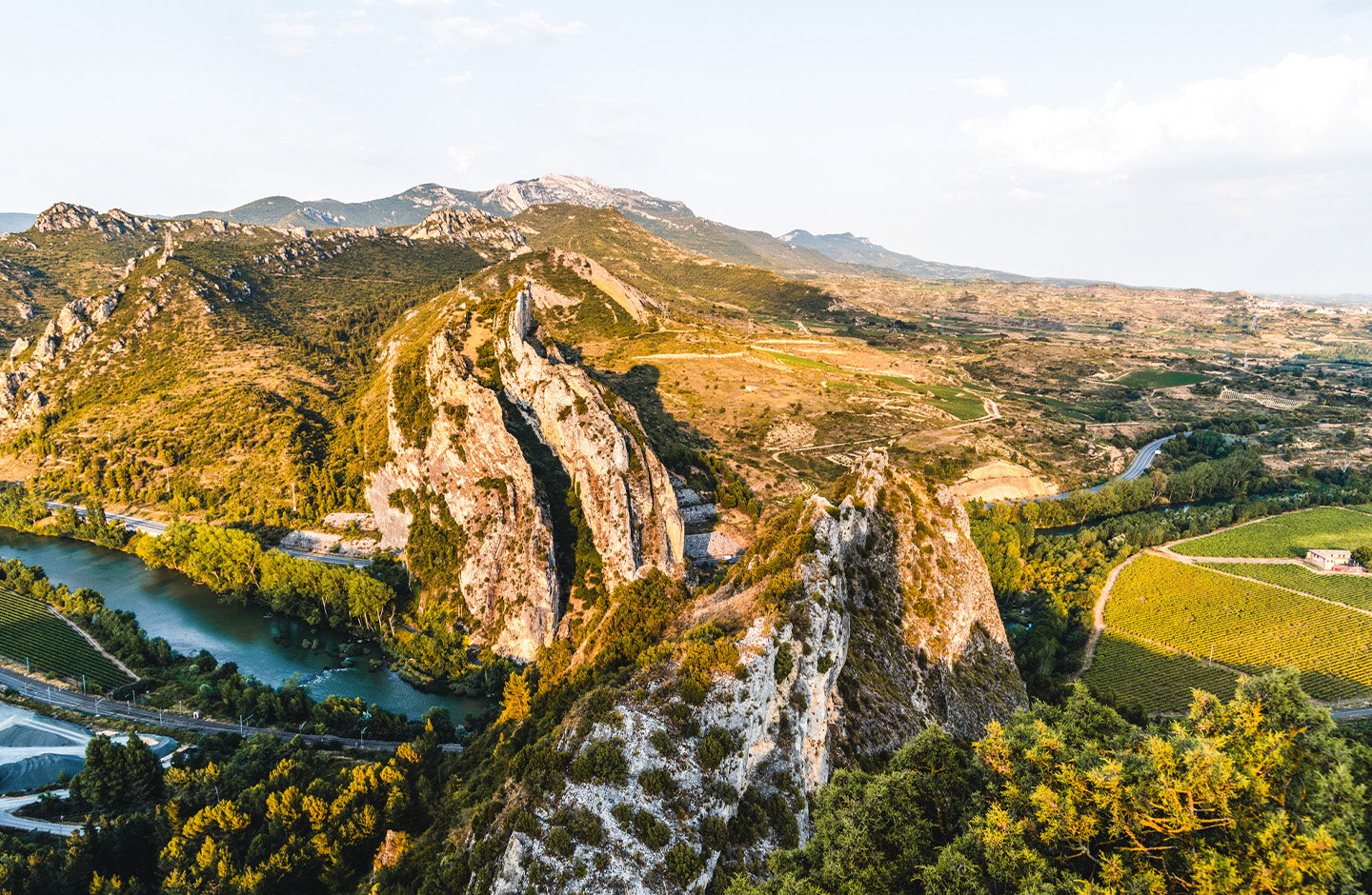 ¡Explora el mundo del vino natural en TRAVINO!