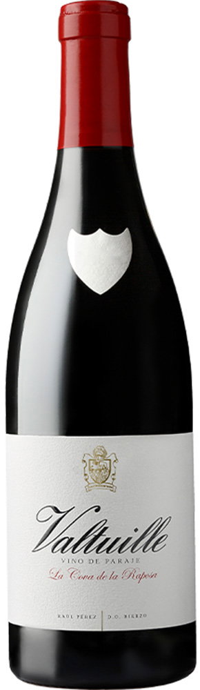 2021 Valtuille Cova de La Raposa Bierzo DO reflection