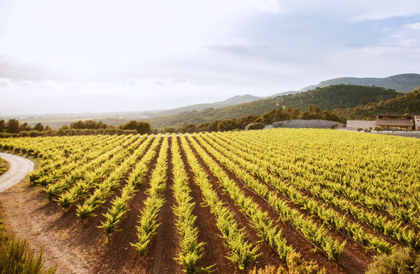 Clos Montblanc