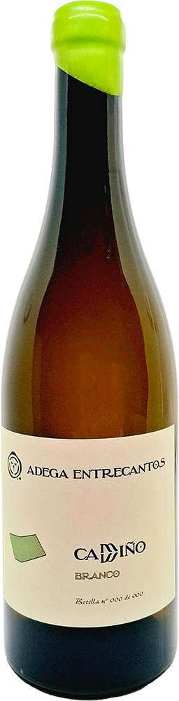 2023 Camiño Branco