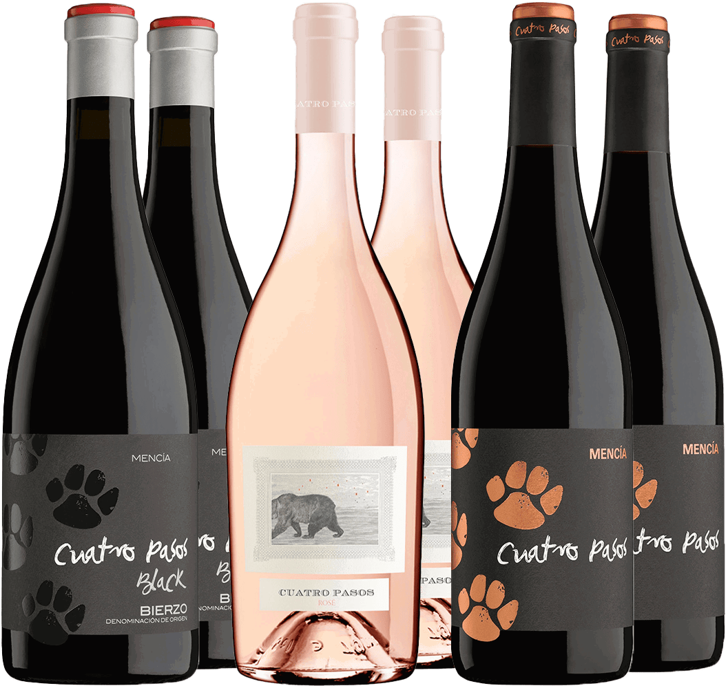 Pack Degustación Cuatro Pasos Bierzo DO