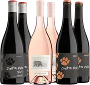 ¡Descubre los mejores vinos del Bierzo!