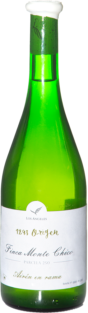 2023 1298 Origen Airén en Rama Finca Monte Chico Castilla VT