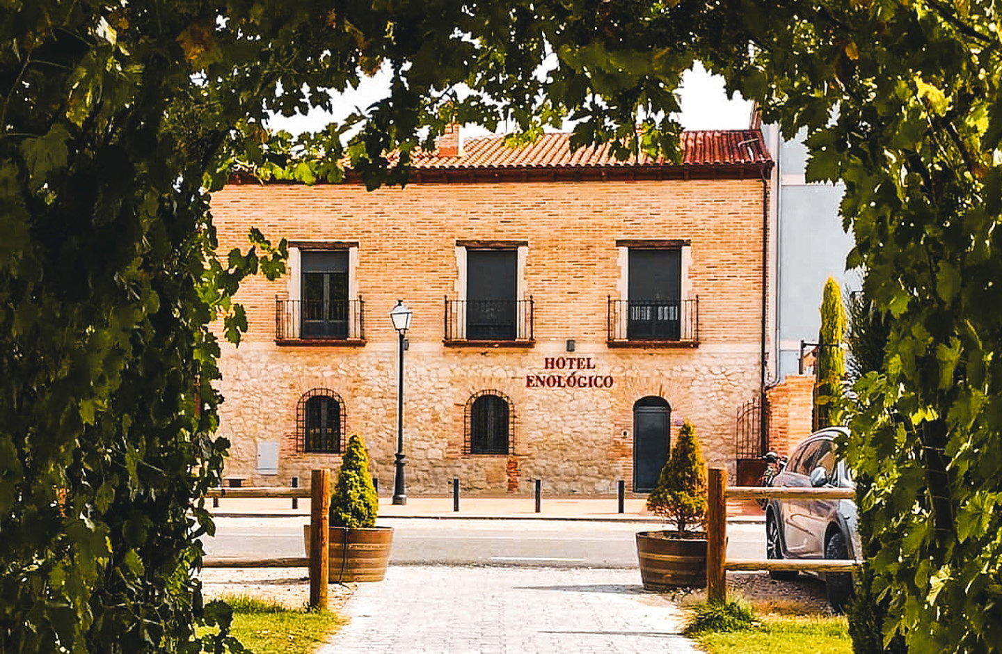 La Casona de la Vid
