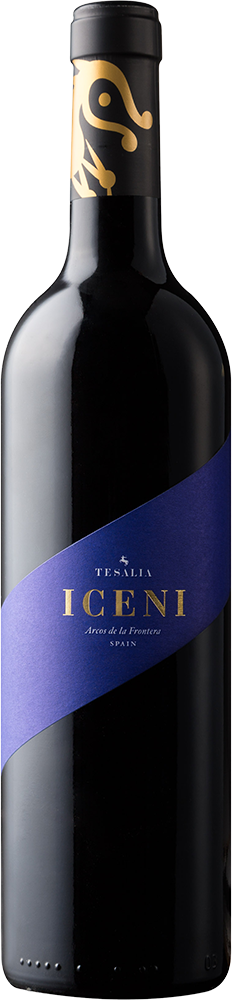 2024 Iceni Cádiz VT