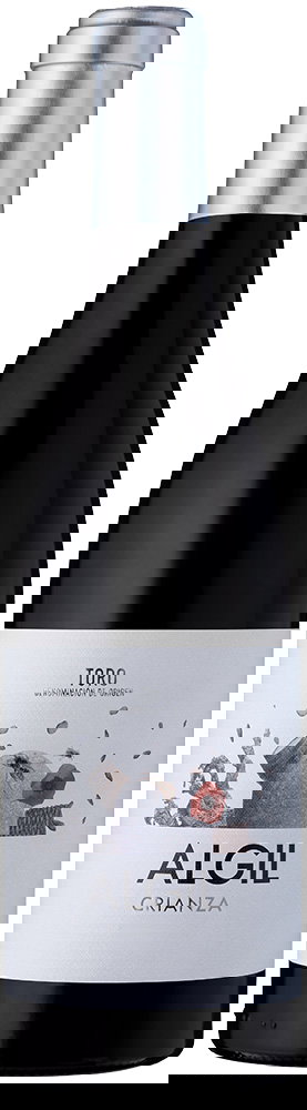 2019 Crianza Toro DO