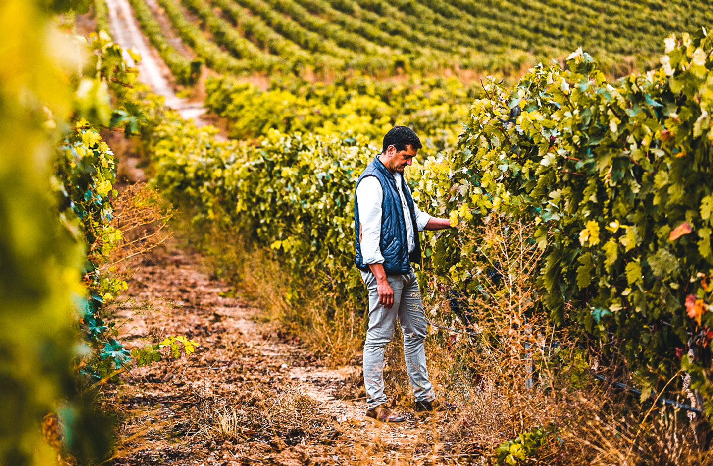 Bodegas Valparaiso