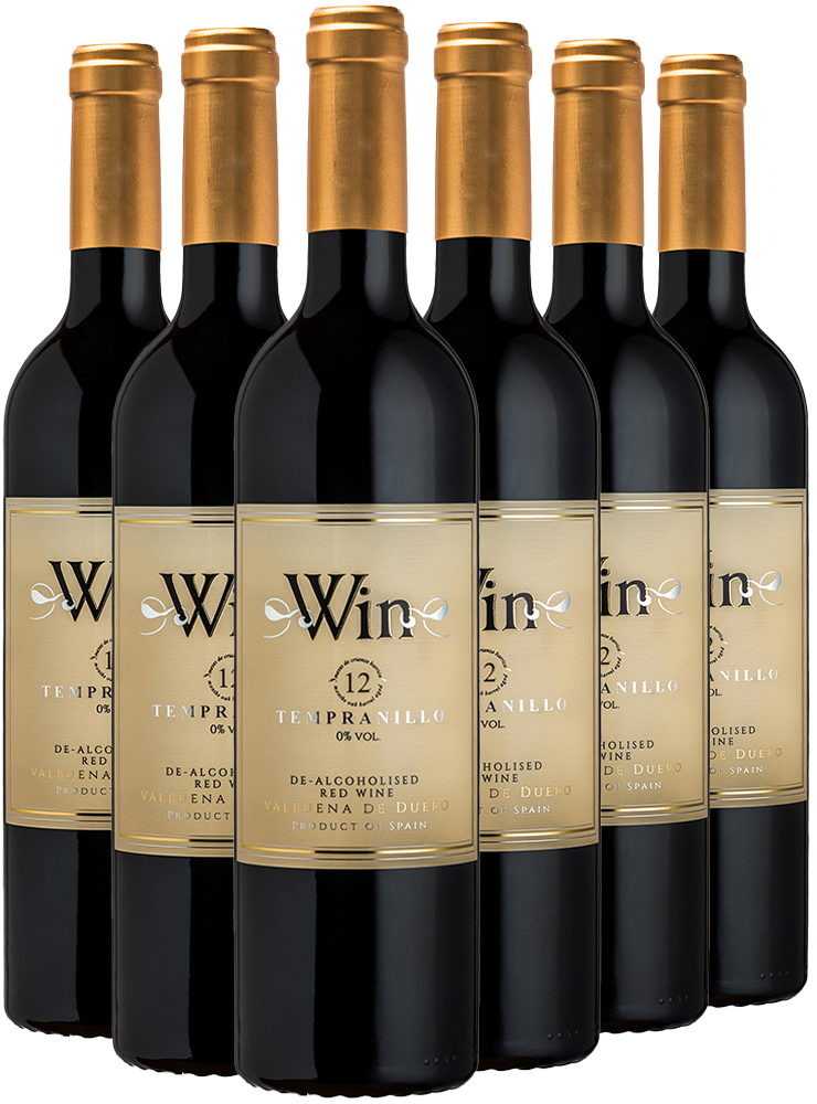 Pack descuento WIN Tempranillo 12M Crianza