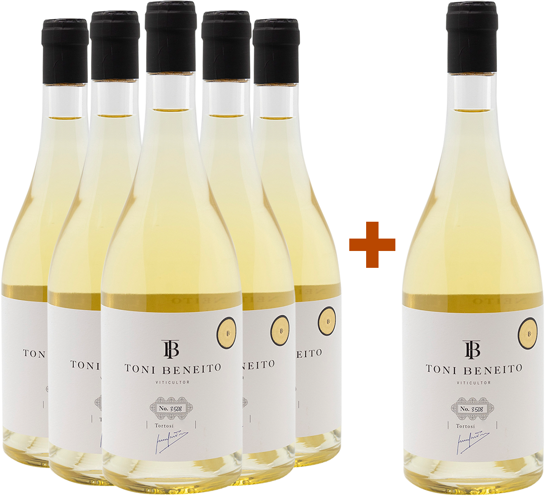 Pack Descuento 5+1 Toni Beneito Tortosí Blanco
