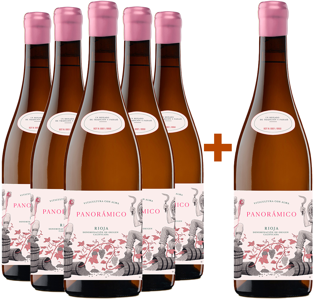 Pack descuento 5+1 Panorámico Clarete Rioja DOCa