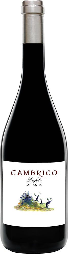 2021 Cámbrico Miranda Sierra de Salamanca DOP