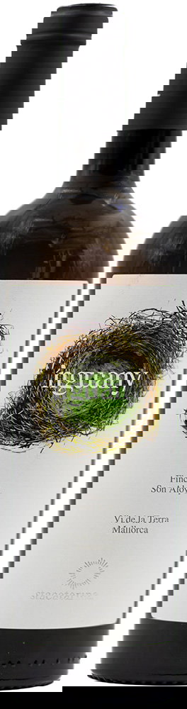 2025 Nguany Blanco Mallorca VT