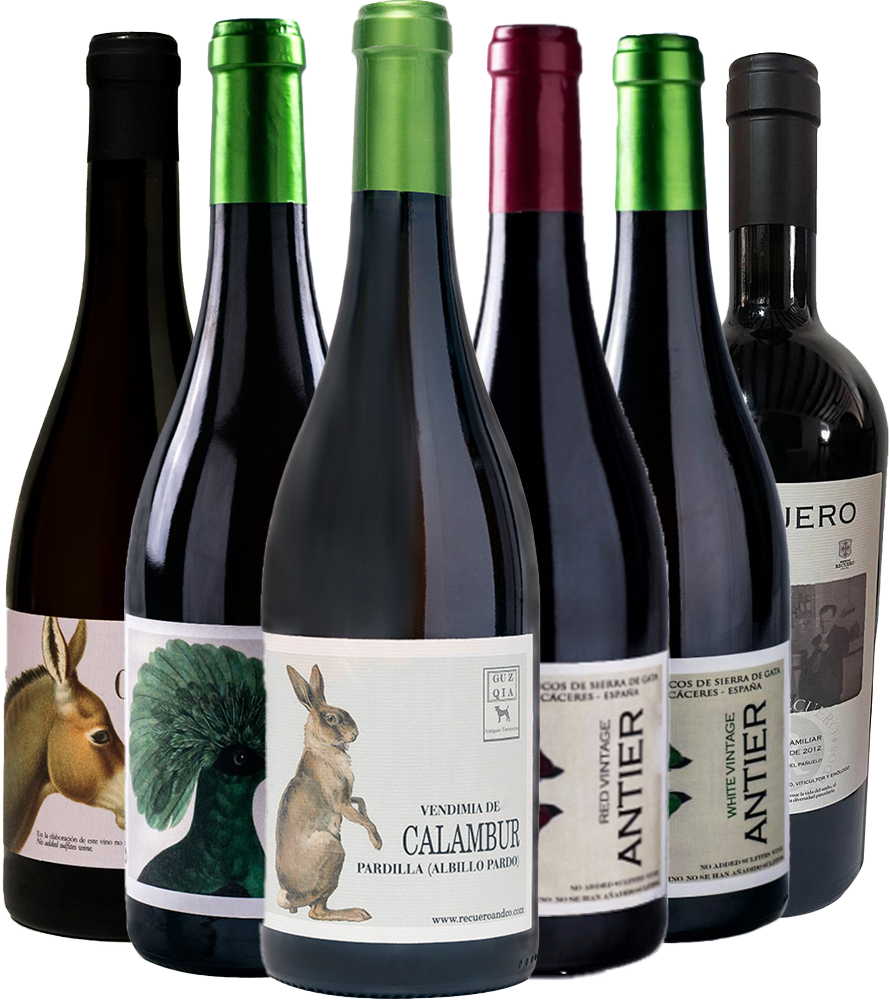 Pack Degustación Recuero & Co