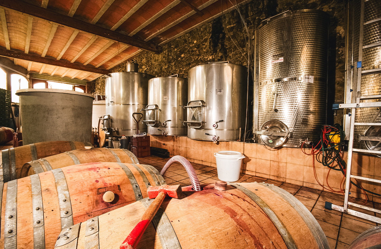 Cartoixa de Montsalvat