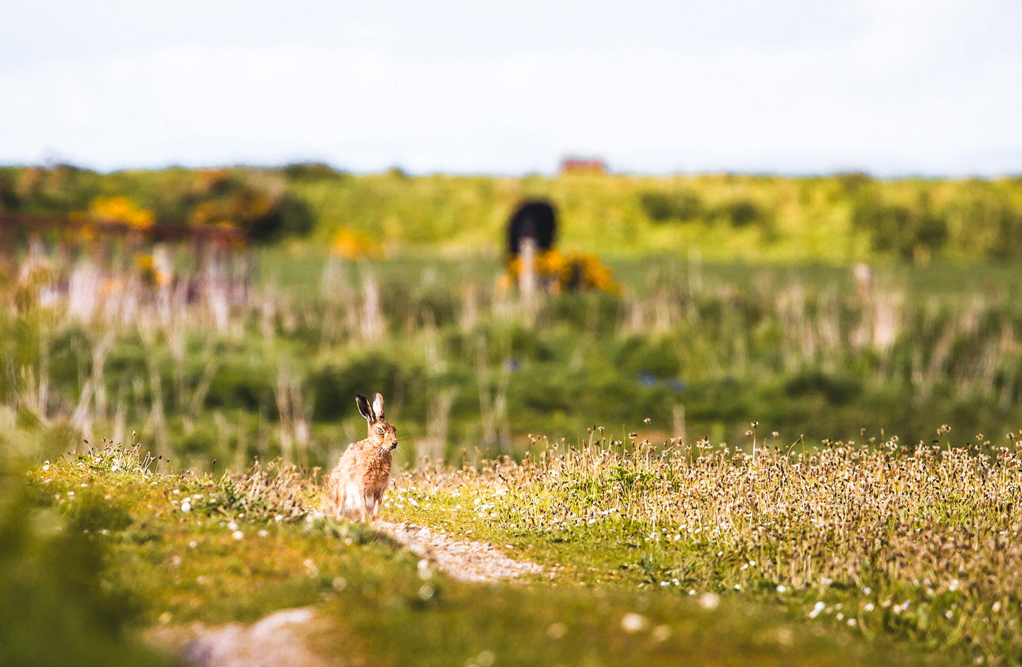 ¡Descubre los mejores vinos orgánicos en TRAVINO!