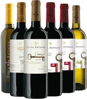 ¡Descubre los mejores vinos de Castilla-La Mancha!