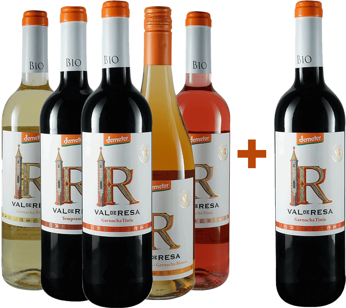 Pack degustación 5+1 Navarrsotillo BIO