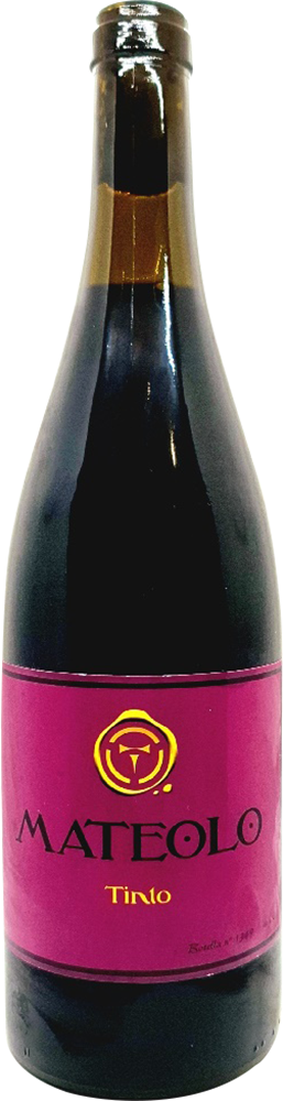 2022 Mateolo Tinto