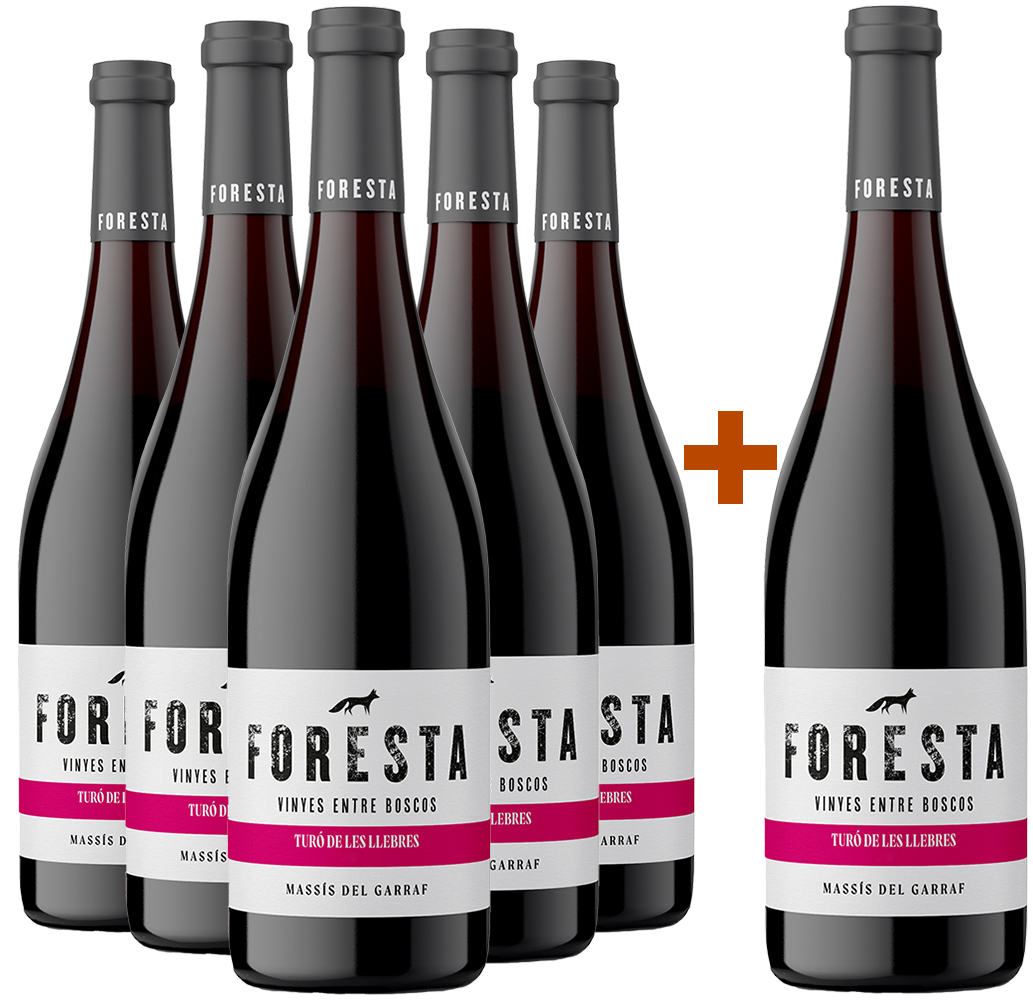 Pack Descuento 5+1 2022 Foresta Turó de les Llebres DO Penedès BIO