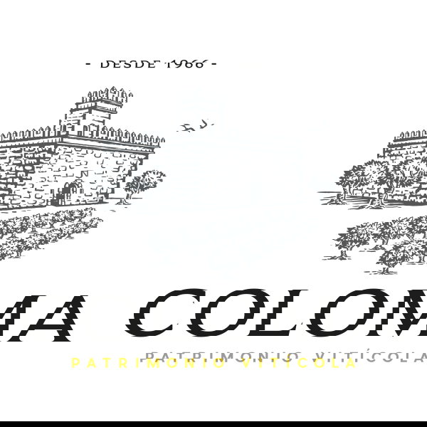 Coloma Viñedos y Bodegas