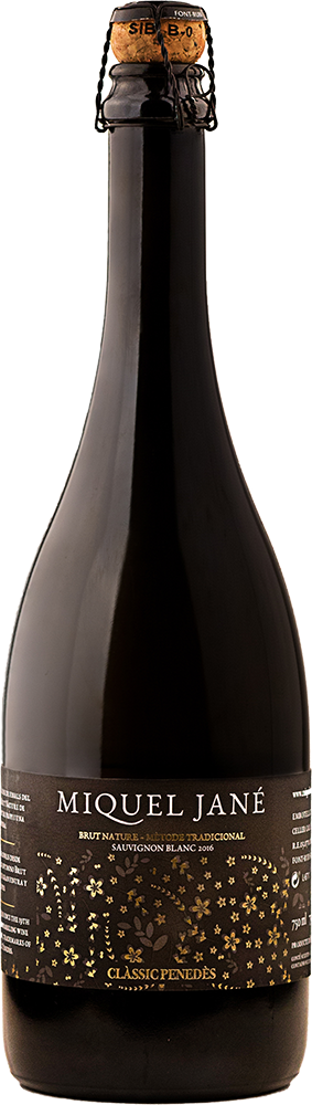 2018 Sauvignon Blanc Clàssic Penedès DO BIO