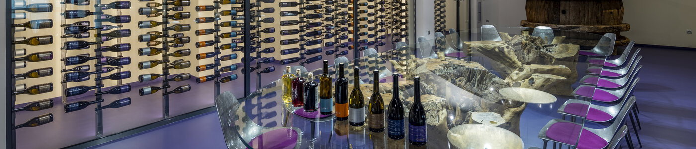 Es Fangar Vins