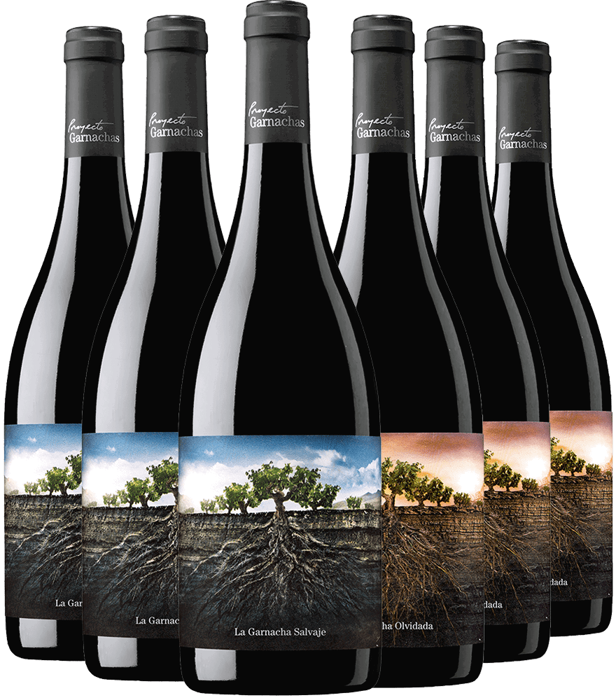 Pack Degustación Proyecto Garnachas