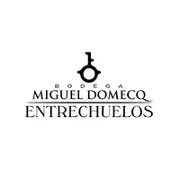Miguel Domecq