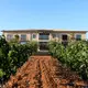 Bodegas Vi Rei