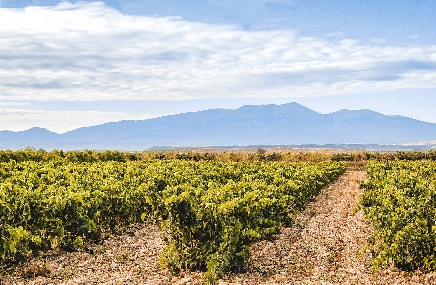 Finca La Cantera de Santa Ana