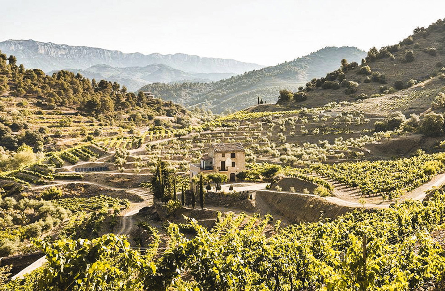 Costers del Priorat
