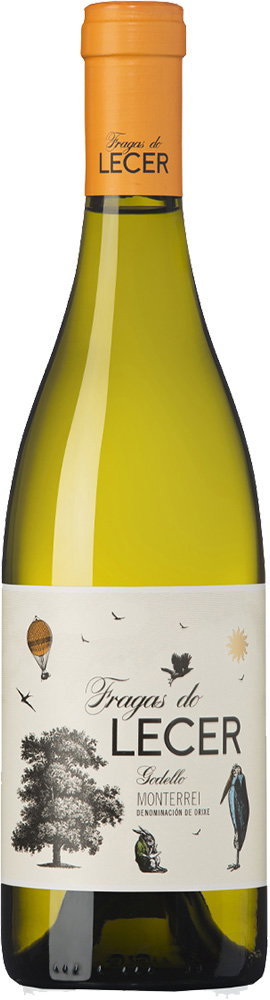 2024 Fragas do Lecer Godello Monterrei DO reflection